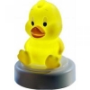Nightlight  duck Ansmann